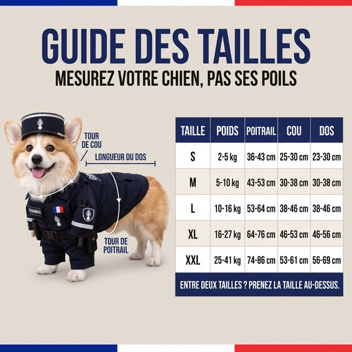 Guide des tailles de la tenue WOUFICIER, du S au XXL