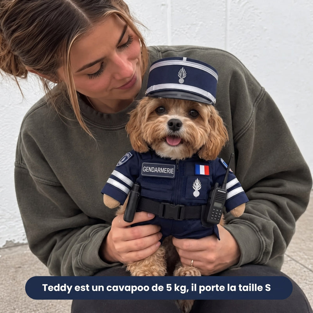 La nouvelle mission de votre chien commence ici 🐾
